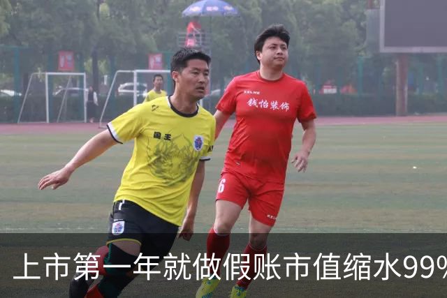上市第一年就做假账市值缩水99%，锁定科创板市值退市第一股